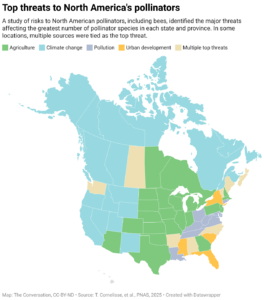 Biggest threats to pollinators in North America (Map: The Conversation, CC-BY-ND; Source: T. Cornelisse, et al., PNAS, 2025)